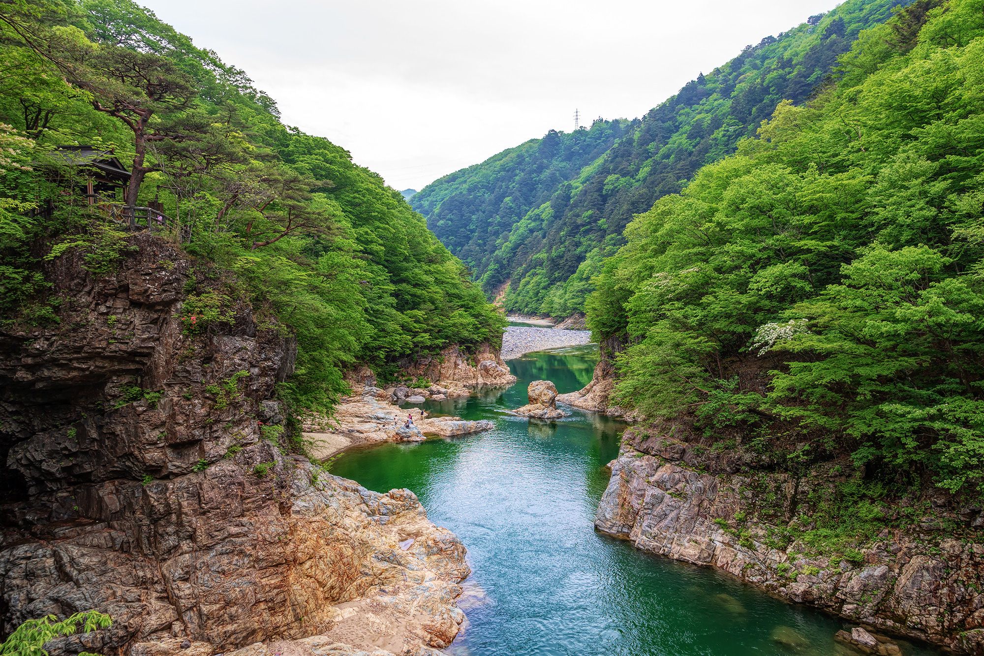 ♨️ 카와지 온천 야쿠시노유 이미지 6